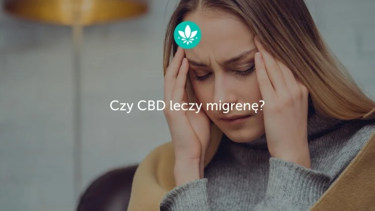 Czy CBD leczy migrenę?