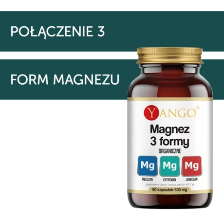 Yango Magnez 3 formy 90szt