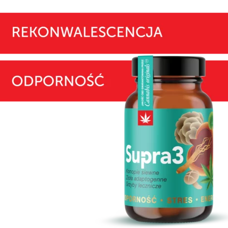 Supra3 to połączenie cbd, ziół adaptogennych, grzybów i miodu
