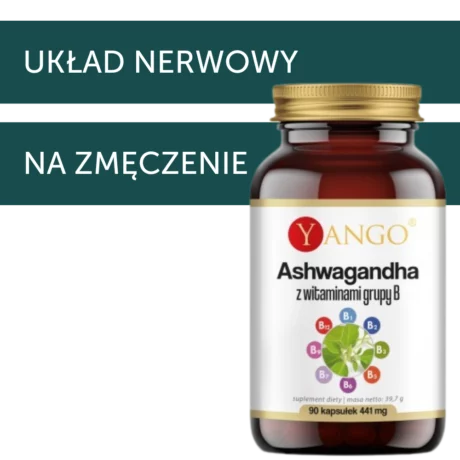 Yango Ashwagandha z witaminami grupy B 90szt wsparcie układu nerwowego, na znużenie i zmęczenie